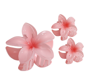 Classic Shining Flower Haarklammer 341157 verschiedene Farben